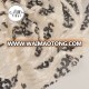 Fashion cheap price customized white and black magic sequin tulle fabric